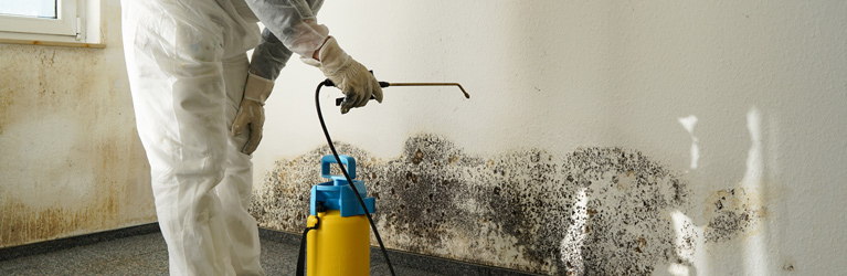 mold remediation 01 1